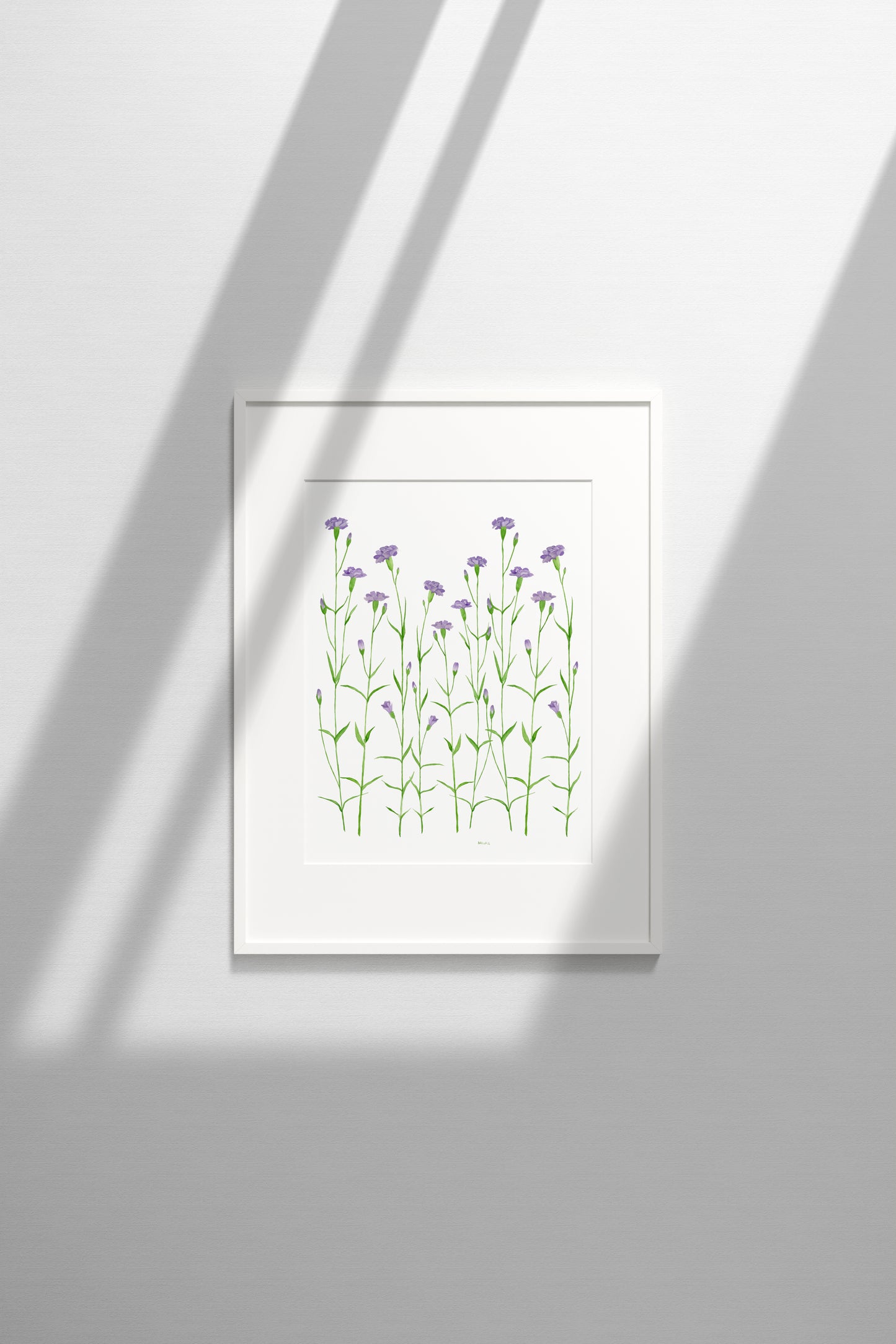 Purple Carnations Print