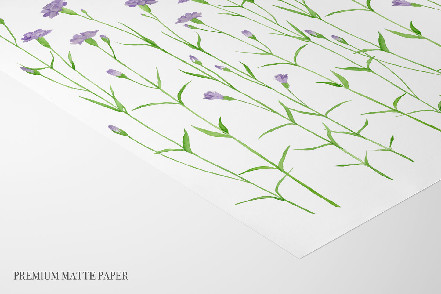 Purple Carnations Print