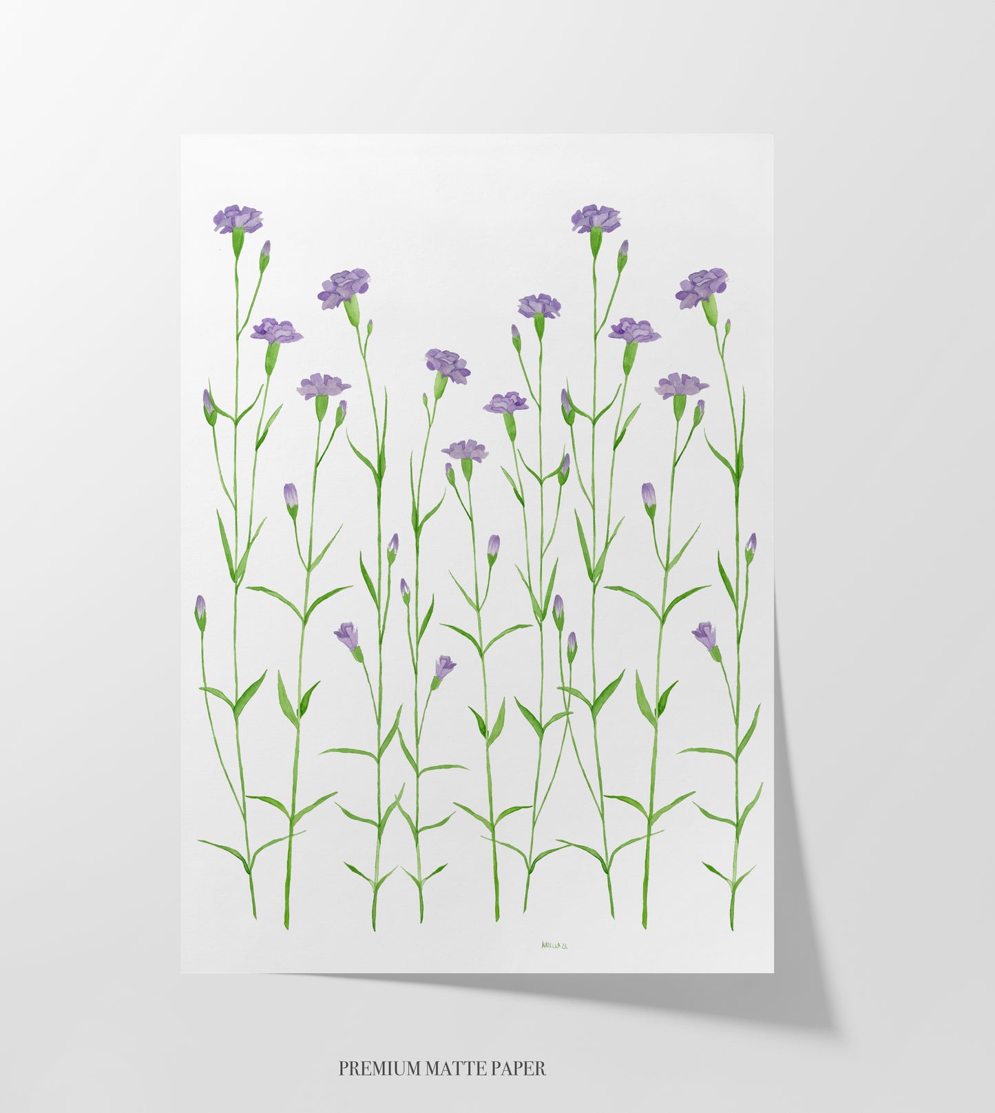 Purple Carnations Print