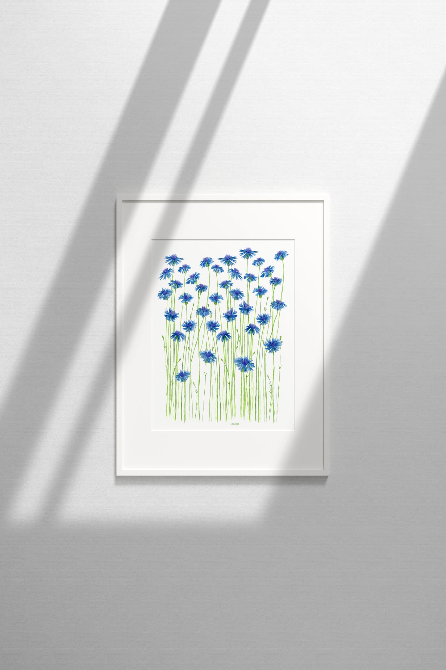 Blue Cornflowers Print