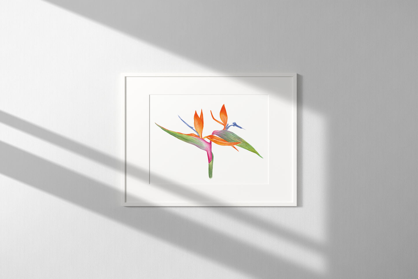 Bird of Paradise Print