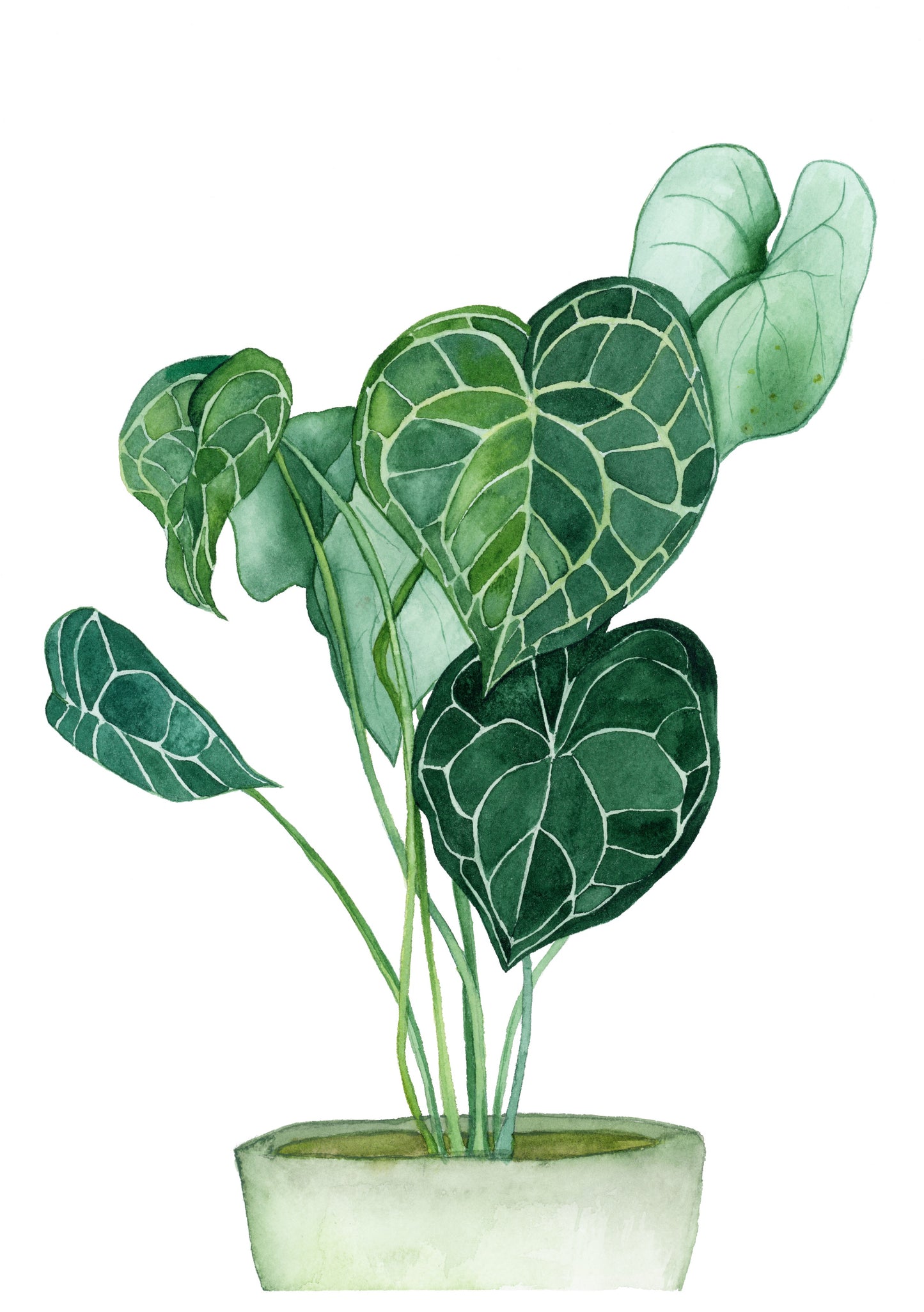 Container of Growth