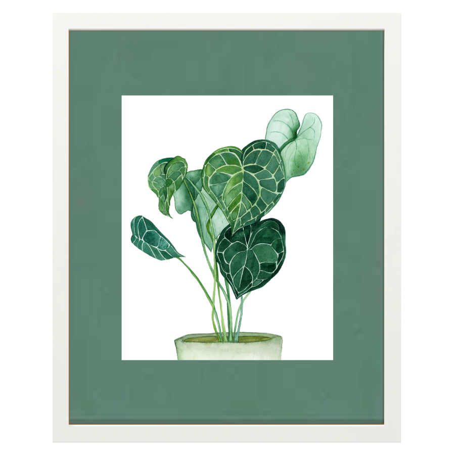 Container of Growth