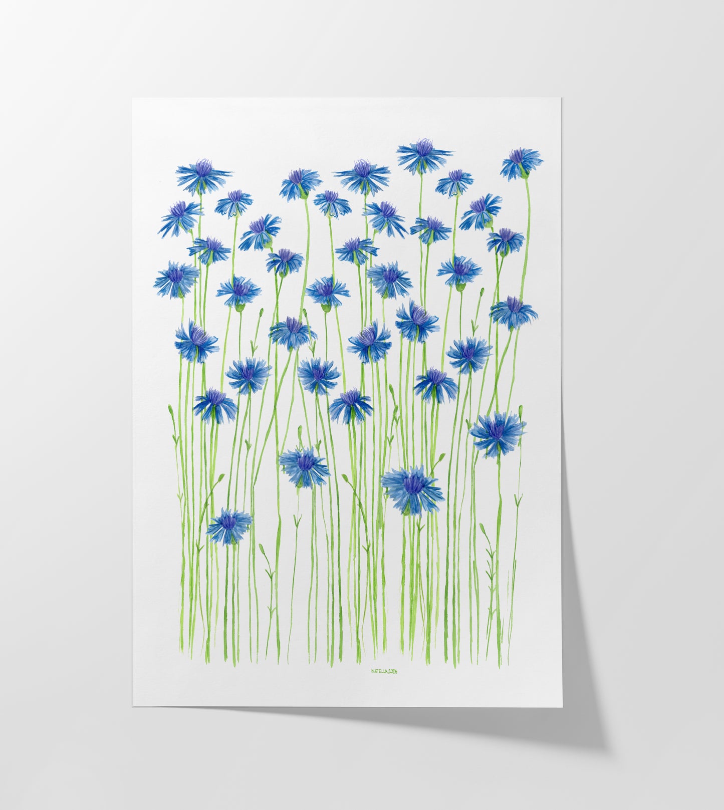 Blue Cornflowers Print