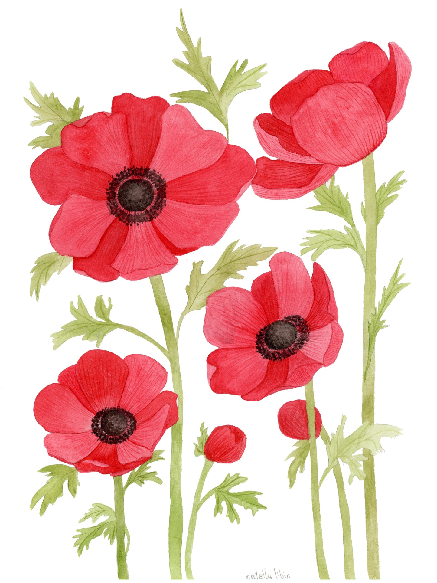 Echoes of Red