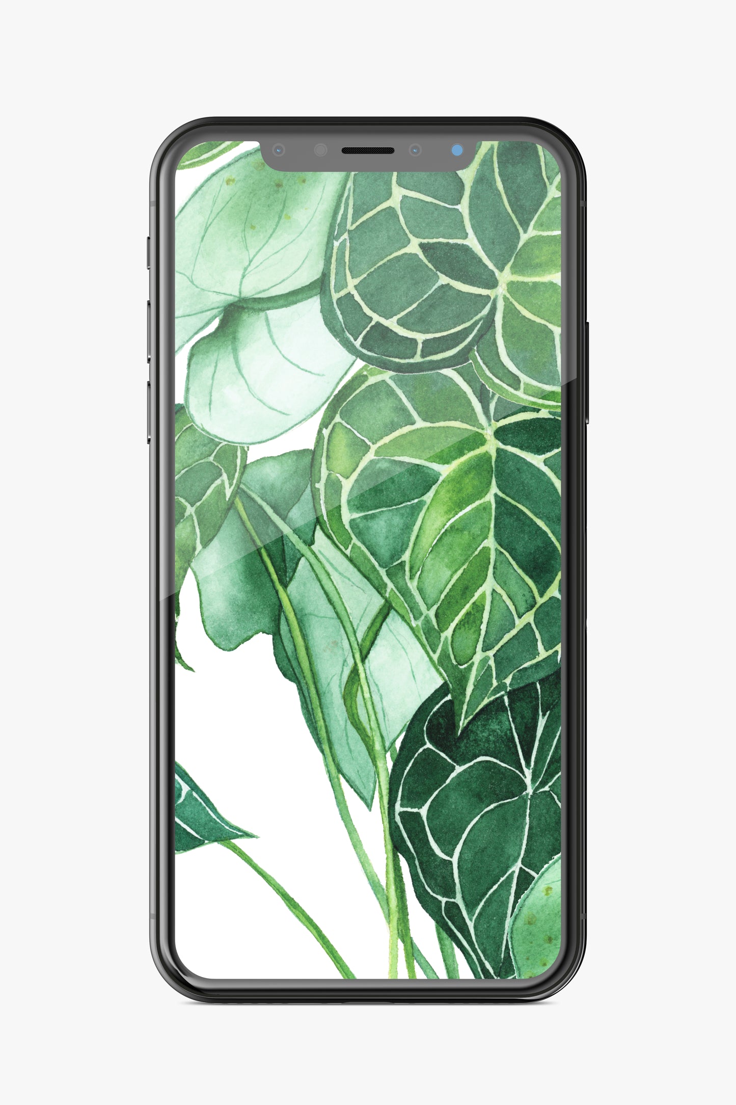 Potted Plant Phone Wallpaper Set