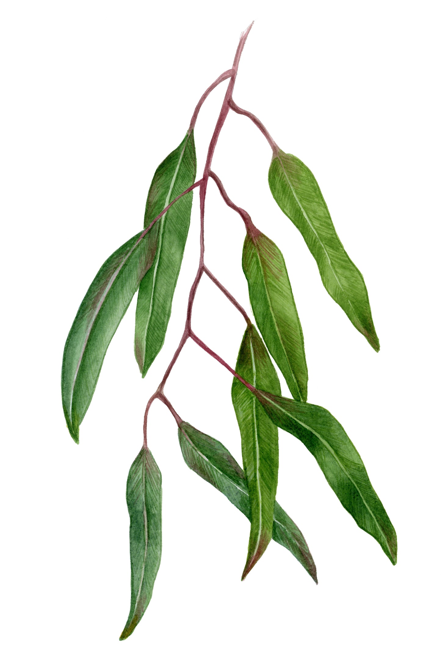 Lines of Life 6.5 x 9.75 (framed 10x14)