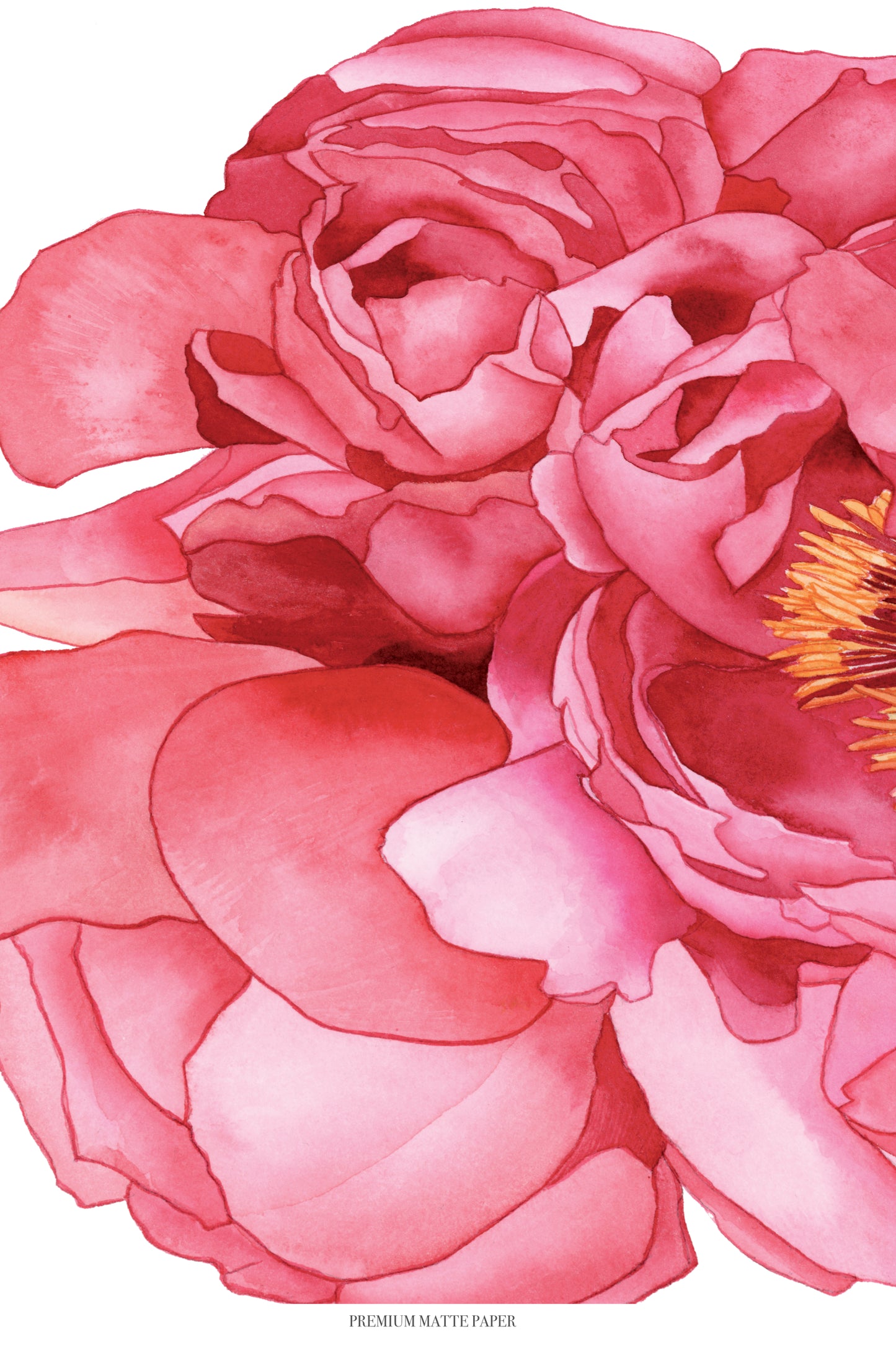 Pink Peonies Print