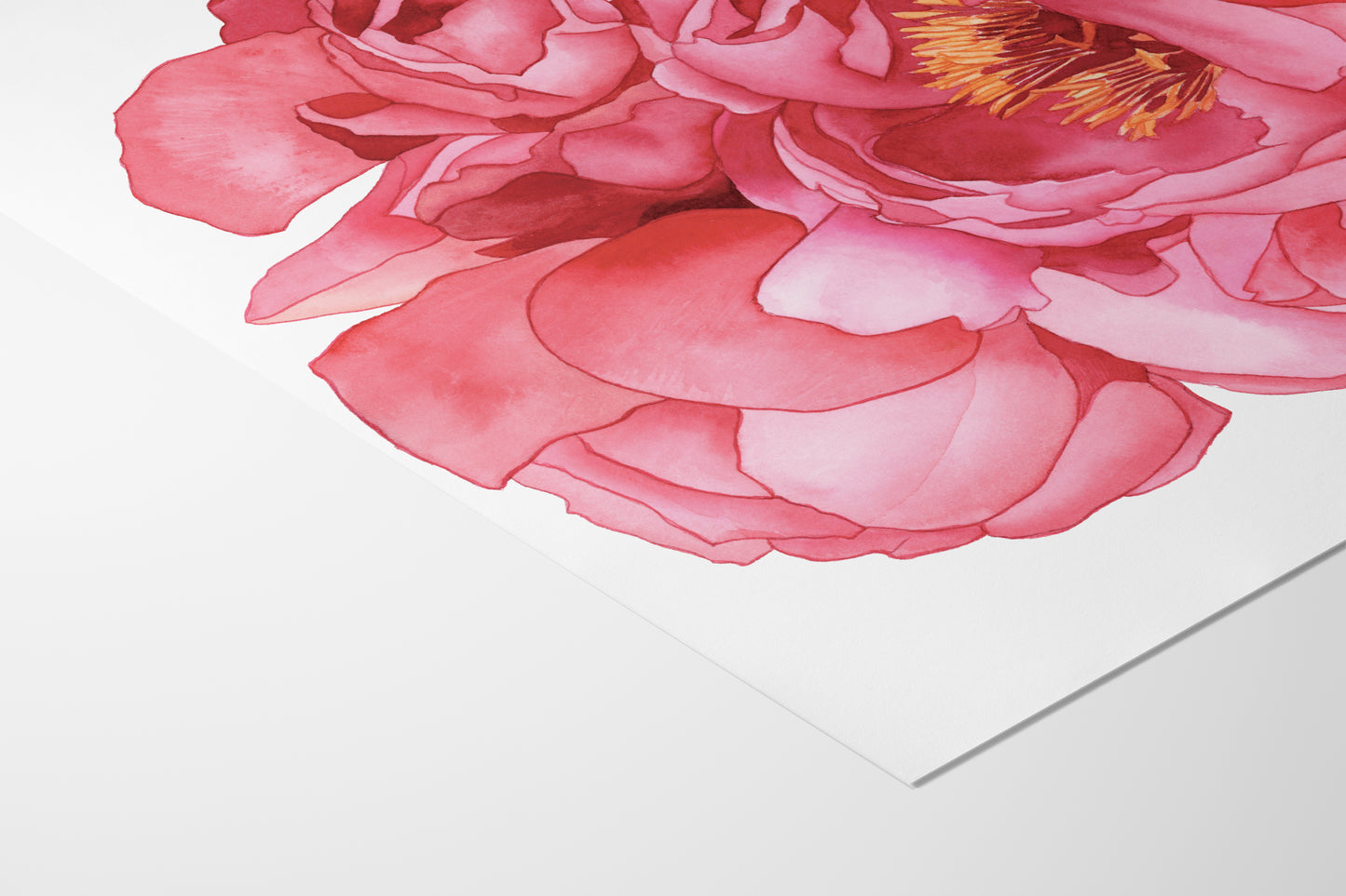Pink Peonies Print
