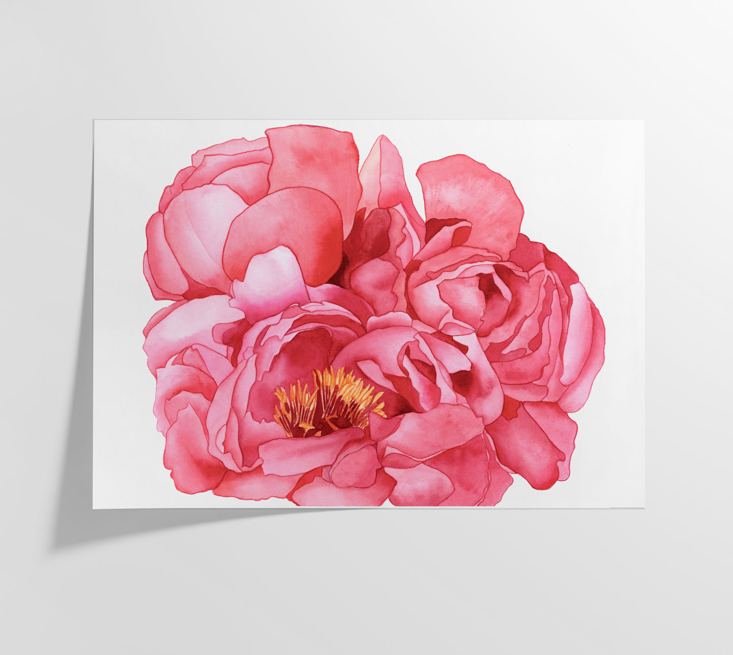 Pink Peonies Print