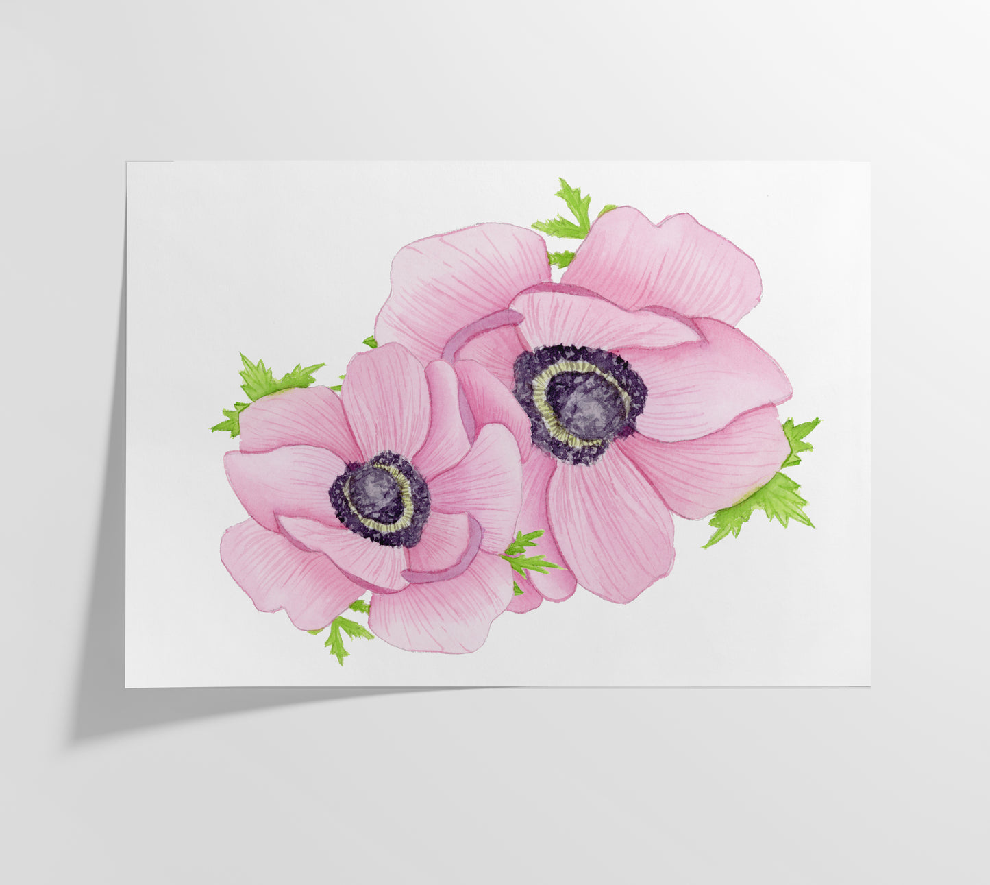Pink Anemones Print