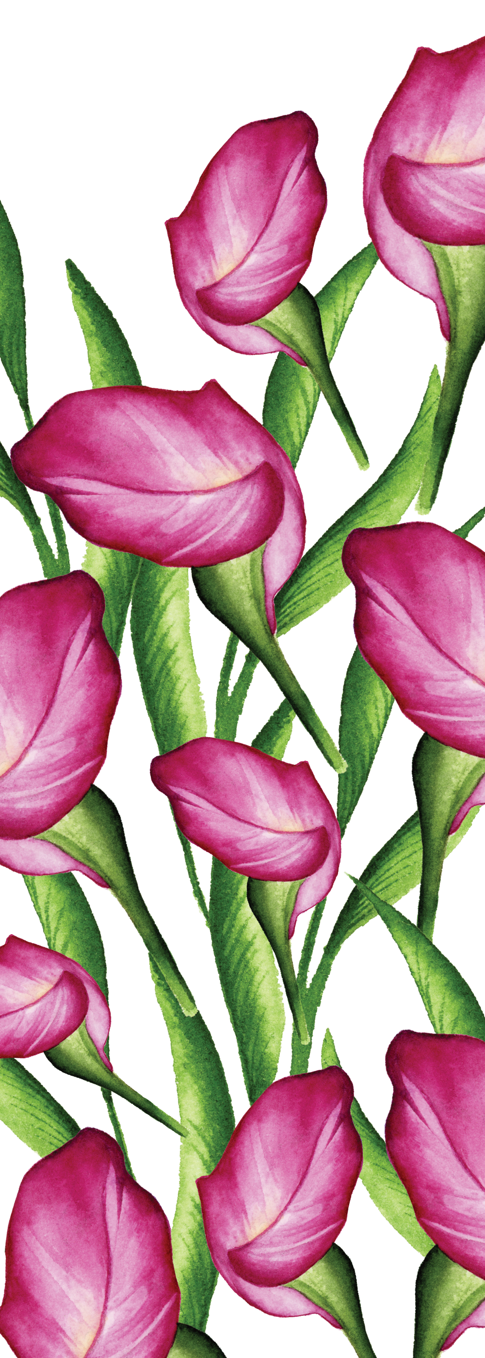 Lily Field Bookmark