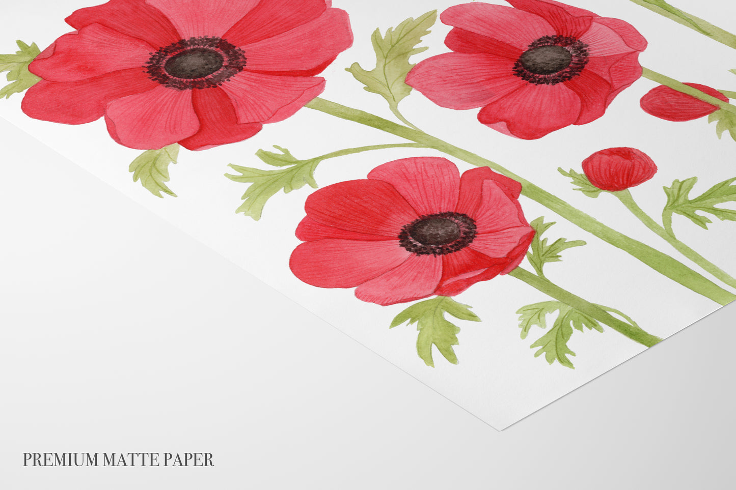 Red Anemone/Poppy Print