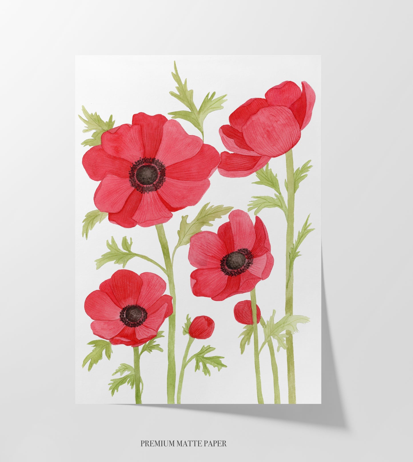 Red Anemone/Poppy Print