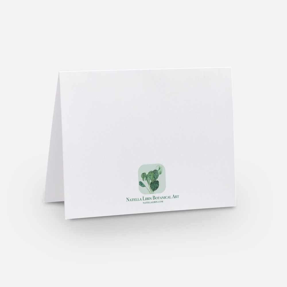Pink Carnations Notecard