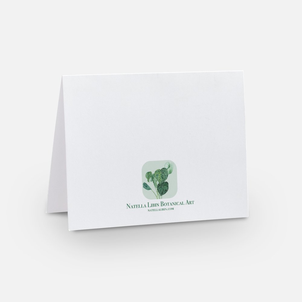 White Magnolia Notecard