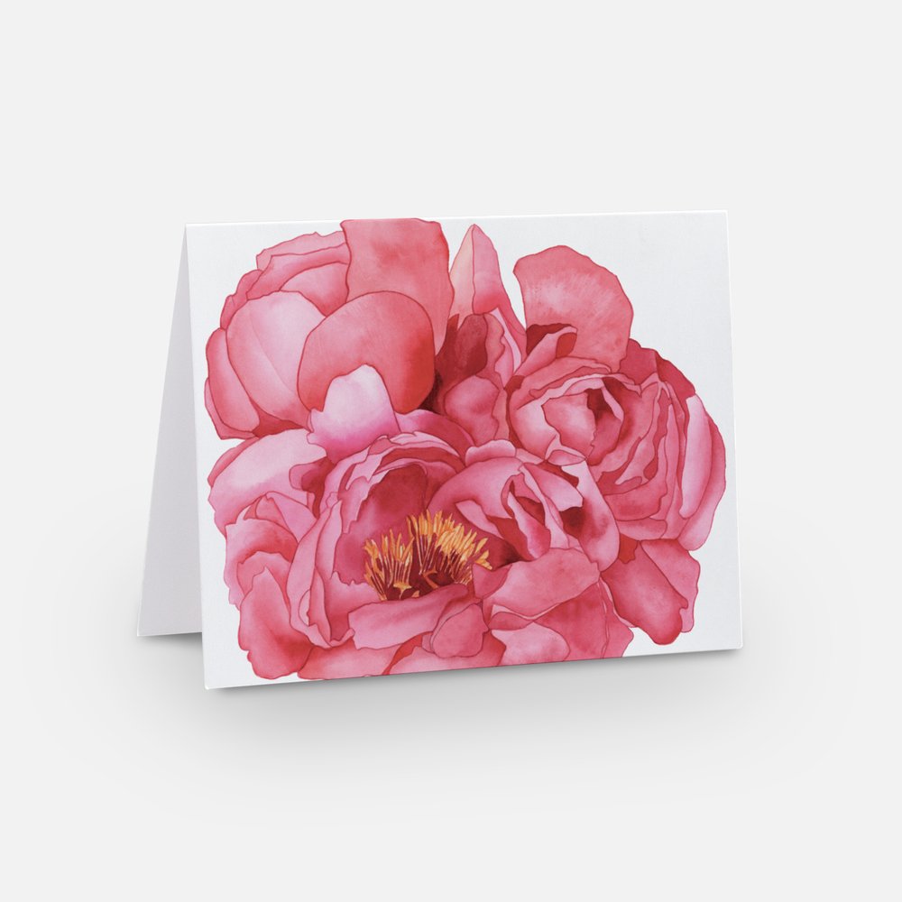 Pink Peonies Notecard