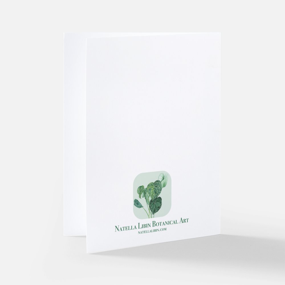 White Cala Lilies Notecard