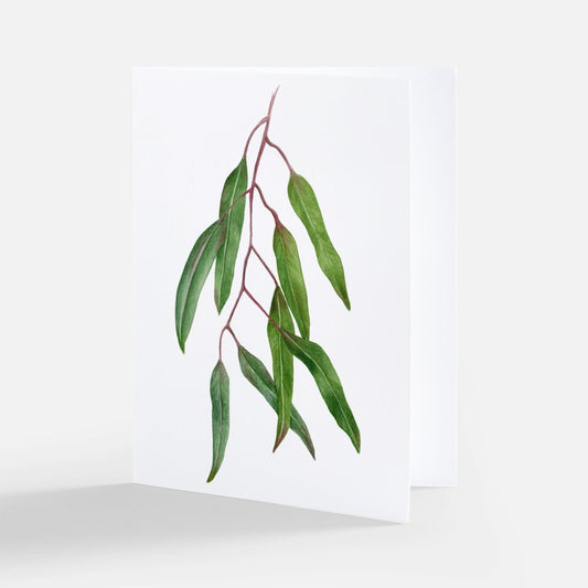 Gum Tree Branch Notecard