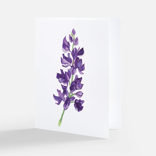 Snapdragon Notecard