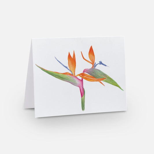 Bird of Paradise Notecard