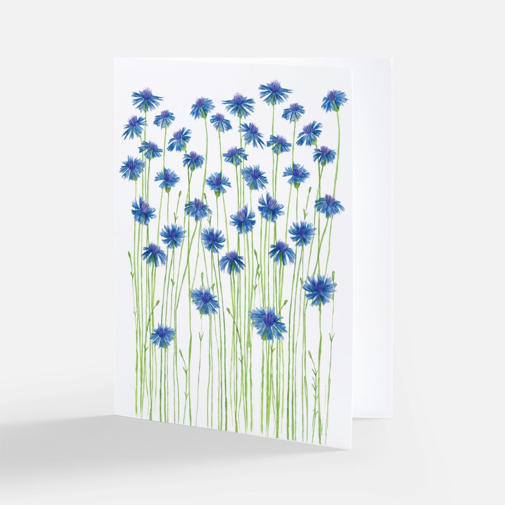Blue Cornflowers Notecard