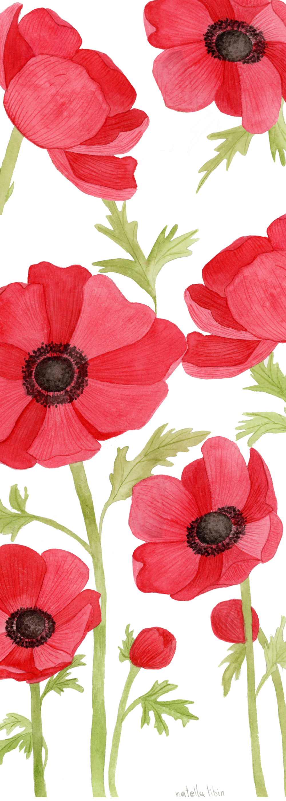 Red Anemone Bookmark