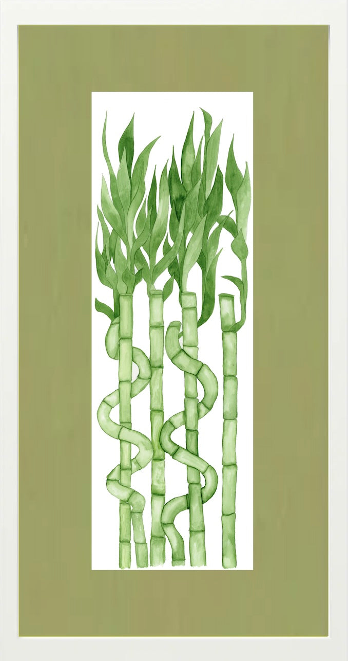 Steadfast Growth