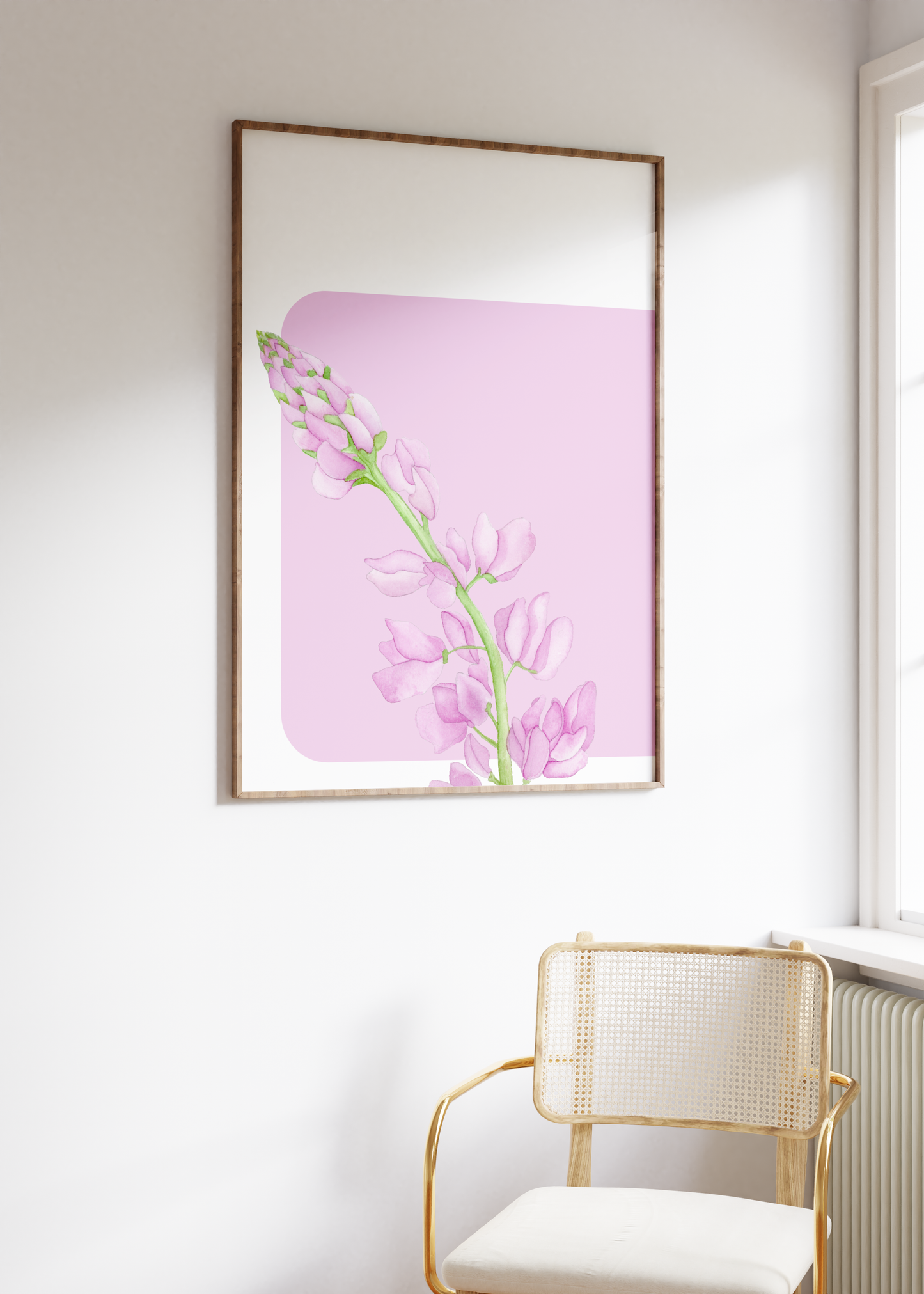 Pink Background Lupine Flower Print
