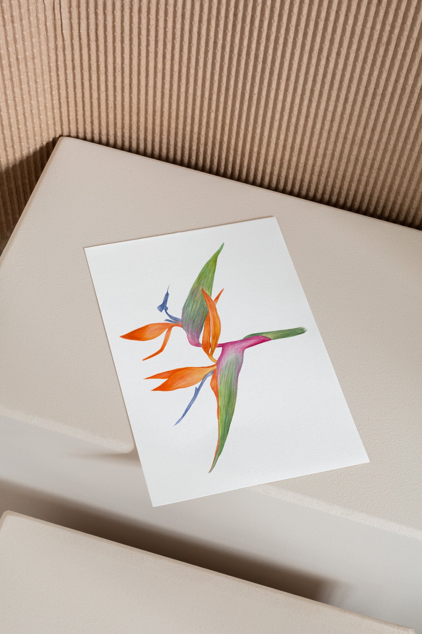 Bird of Paradise Print