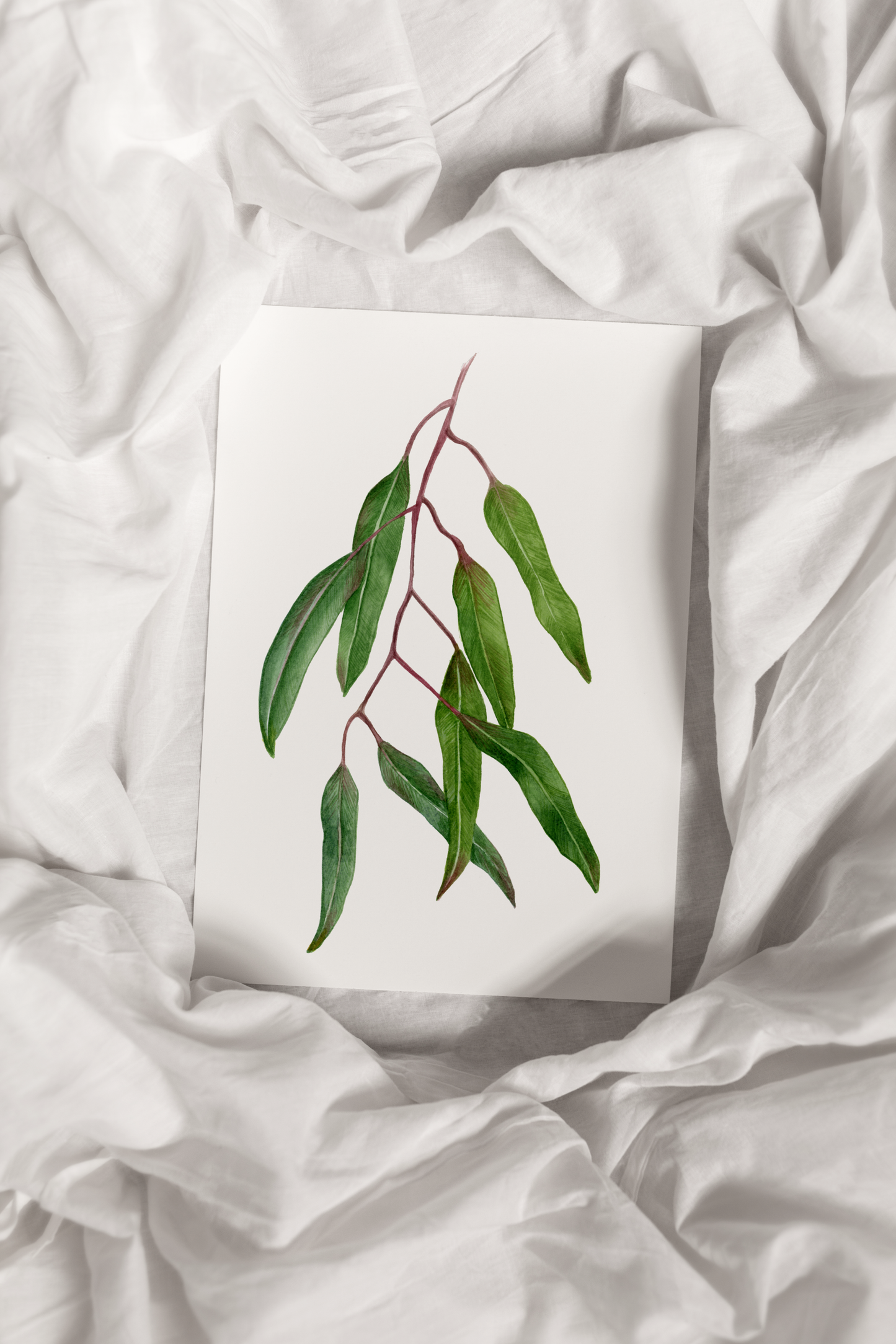 Leaves Branch Print