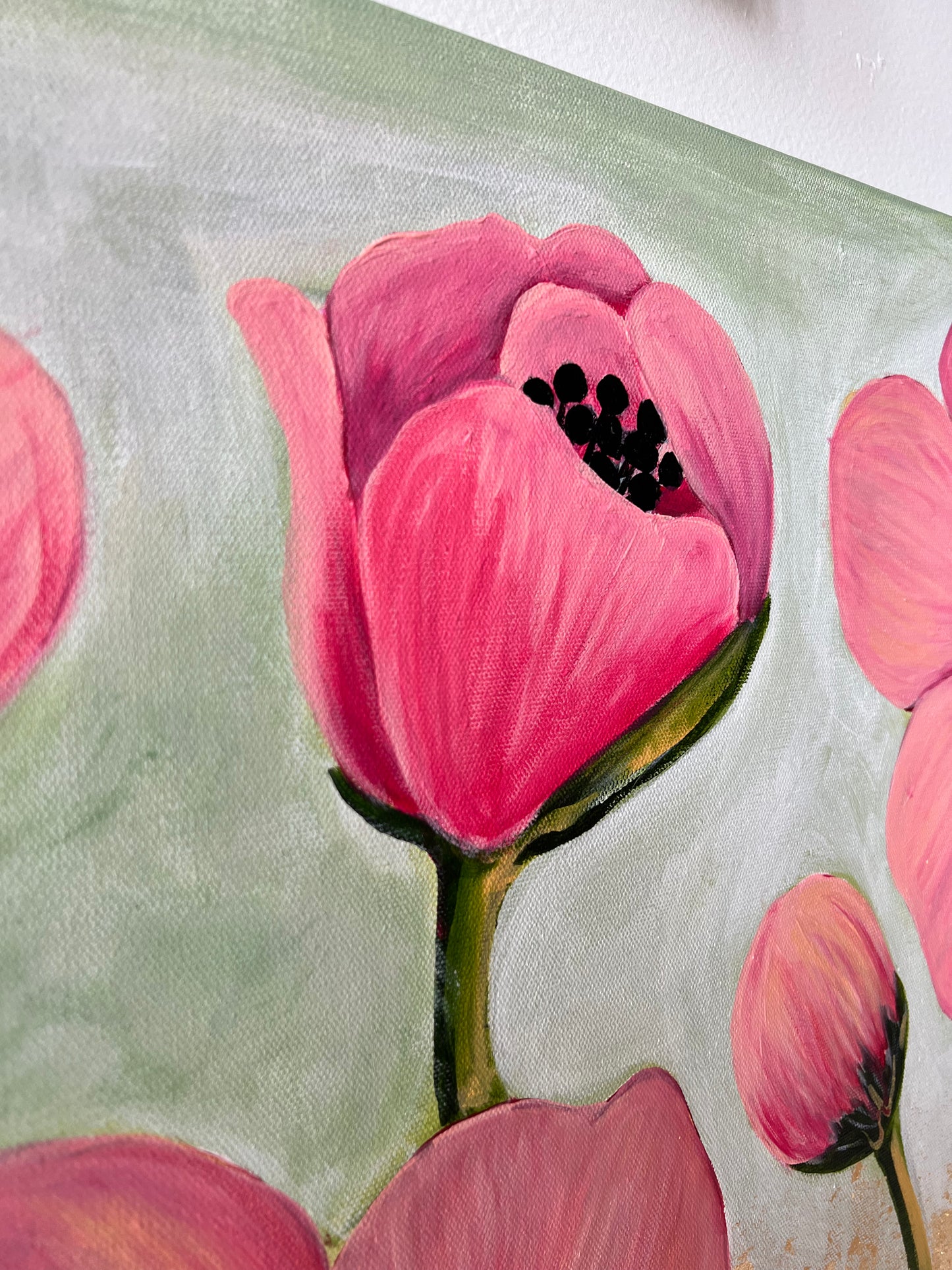 Pop of Poppies