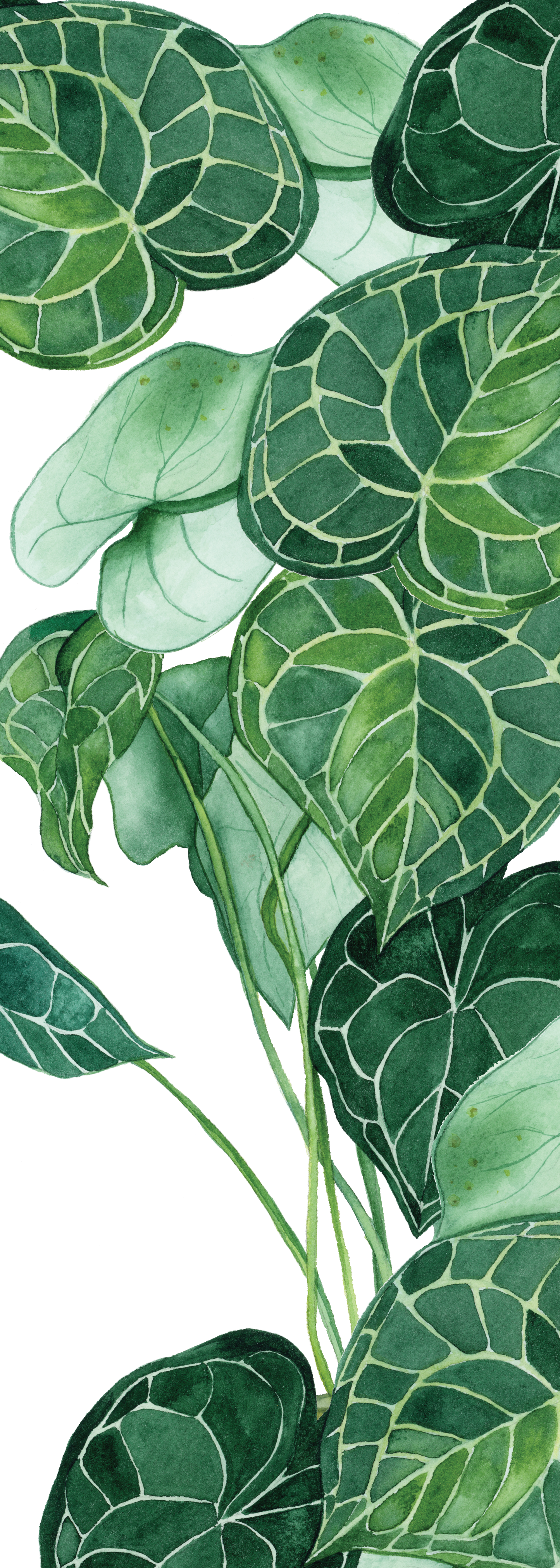 Greenery III Bookmark