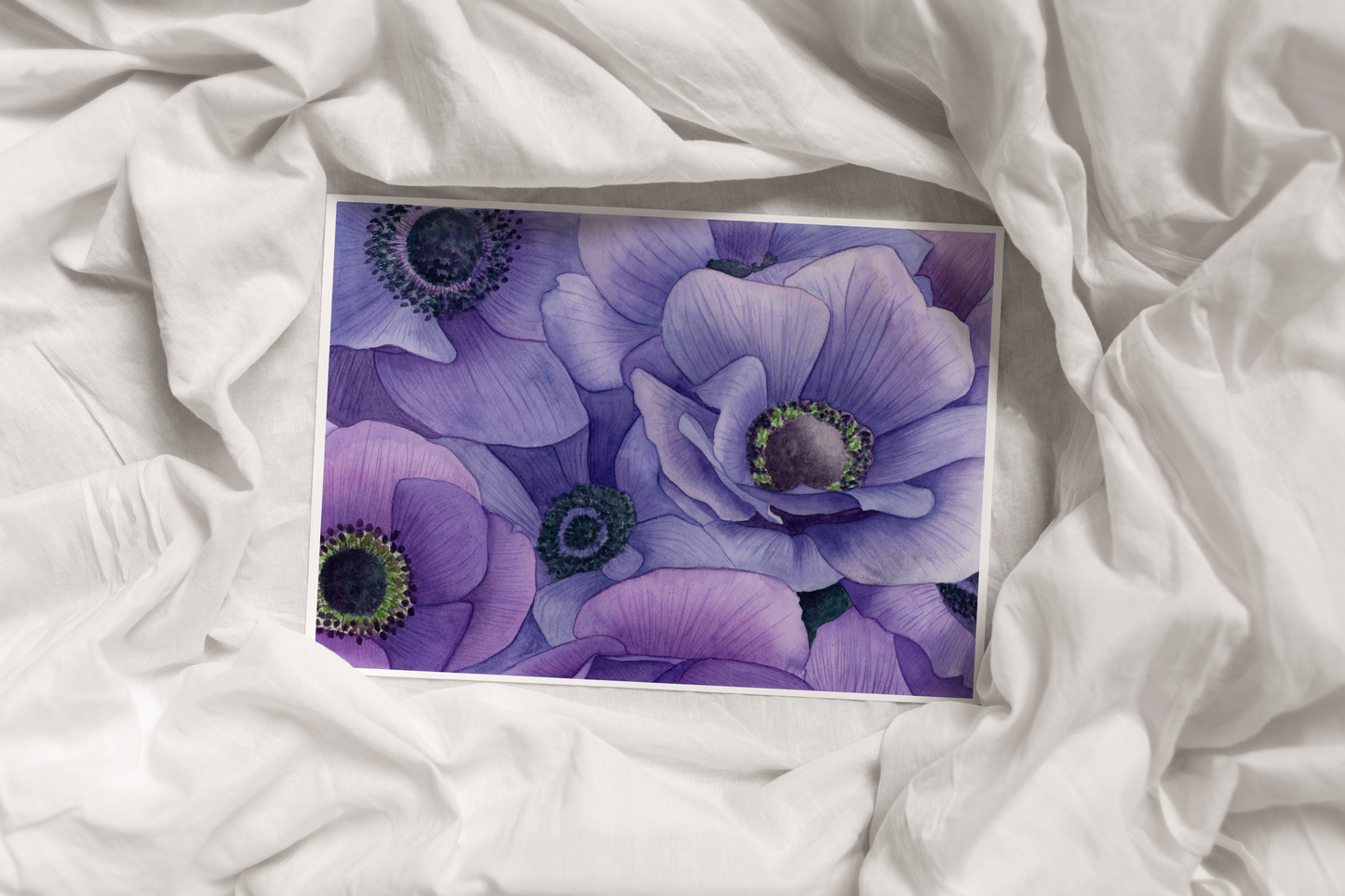 Purple Anemones Print