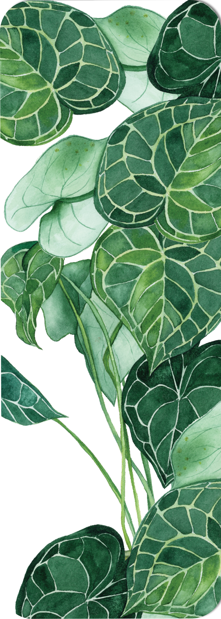 Greenery III Bookmark