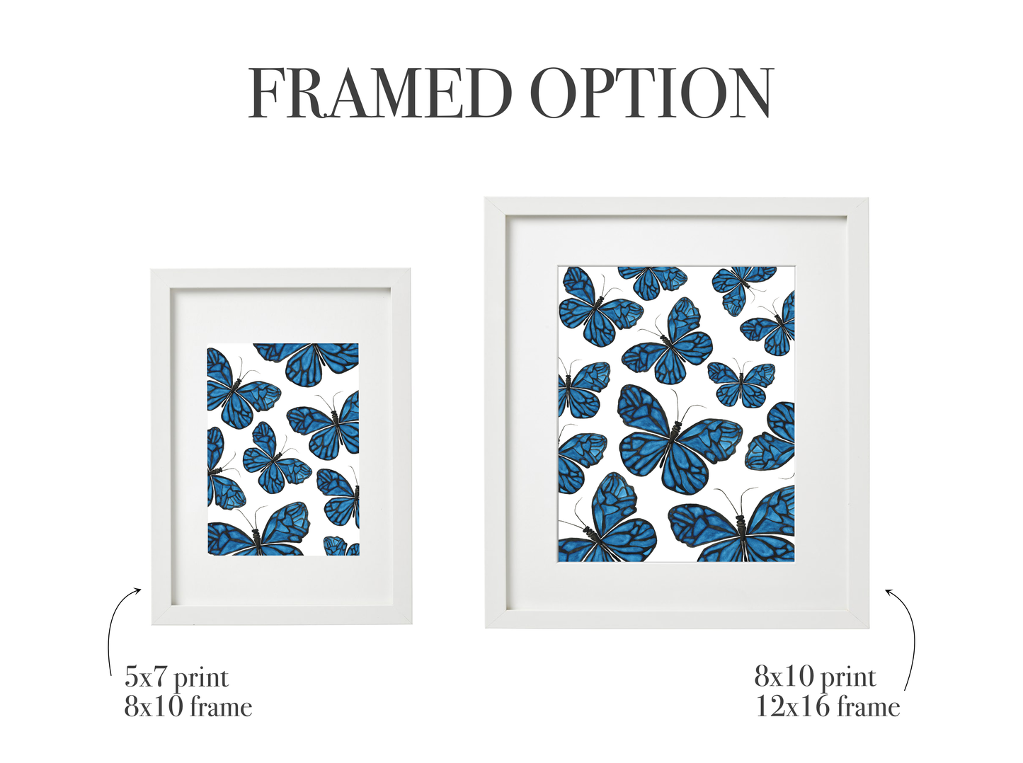 Blue Ulysses Butterflies Print