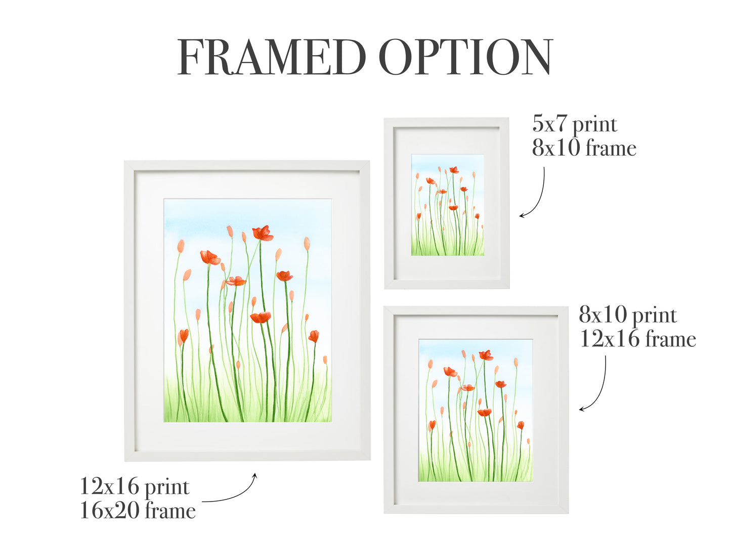 Orange Cosmos Flower Print