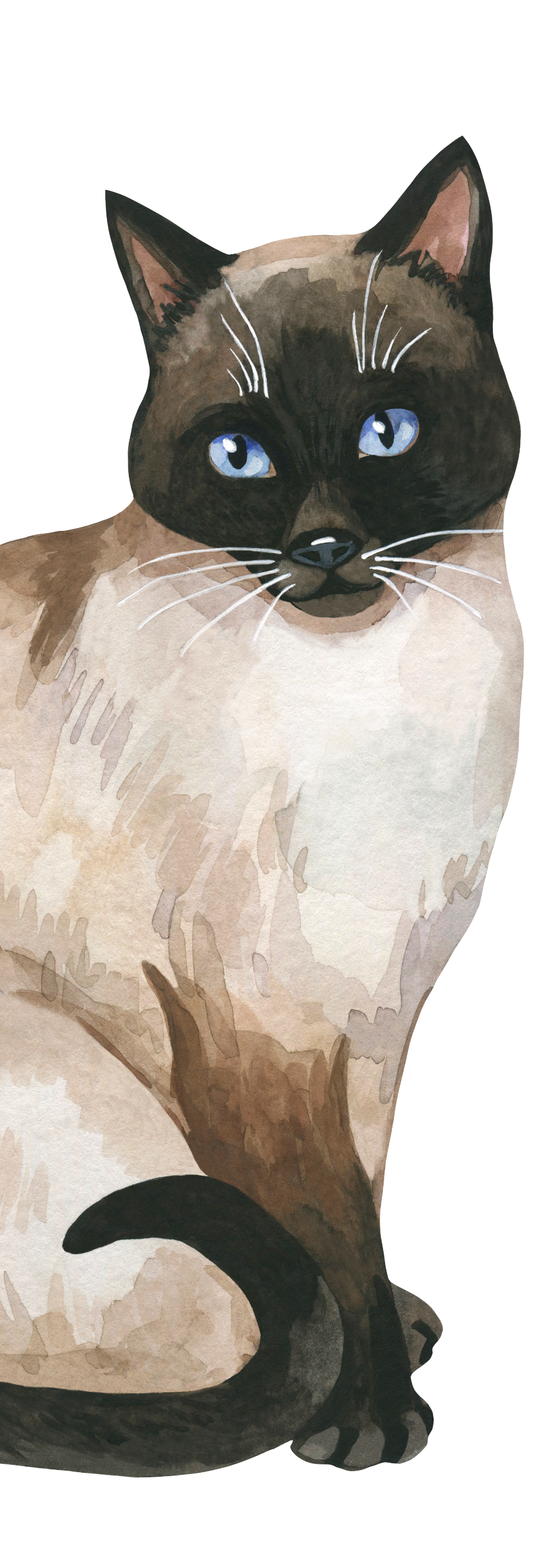 Black and White Cat Bookmark
