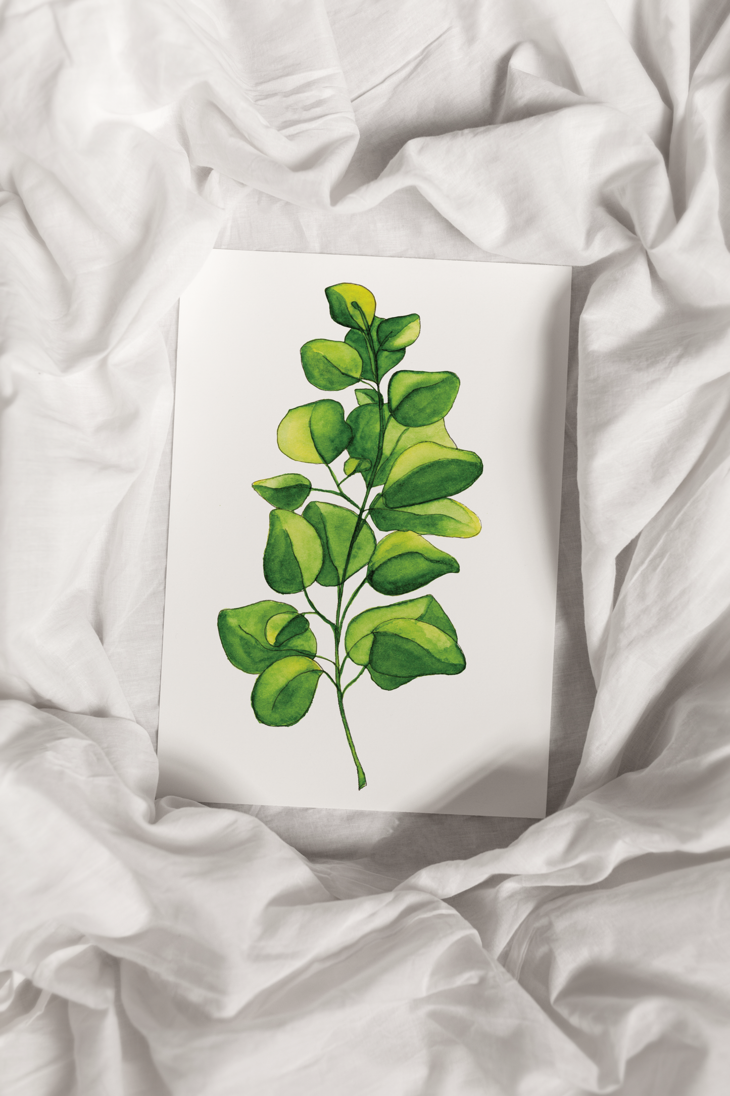 Eucalyptus Print