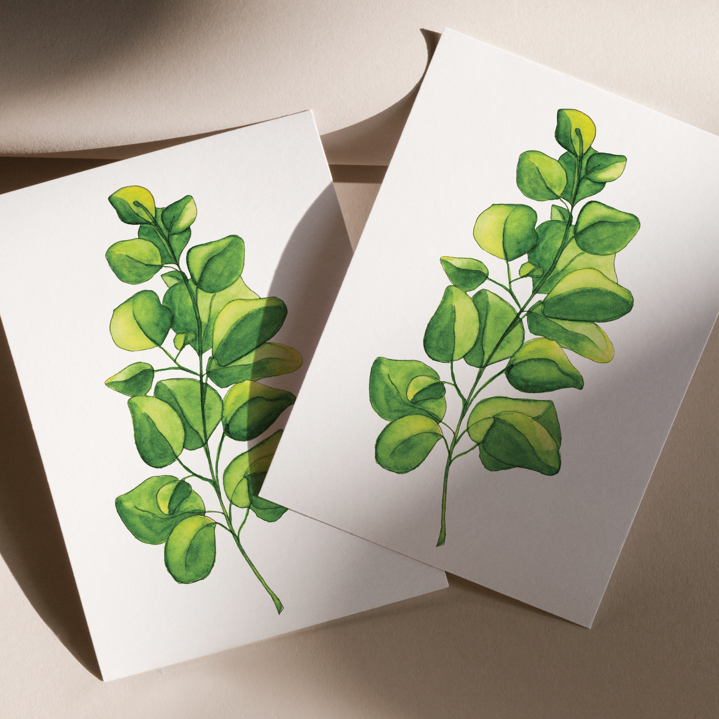 Eucalyptus Print