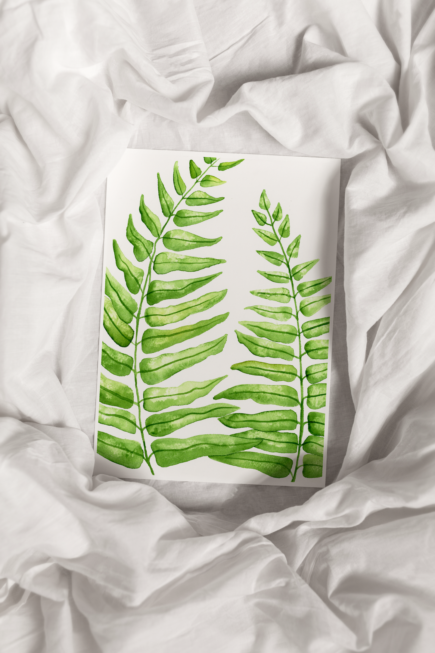 Macho Fern Print
