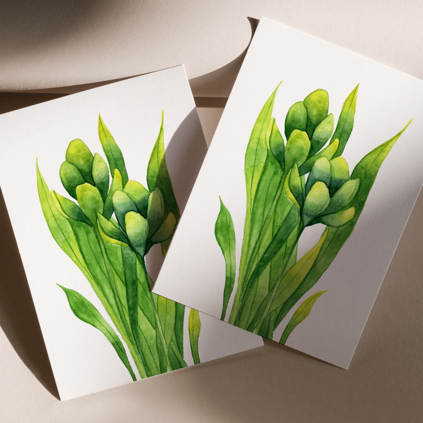 Green Early Crocus Print