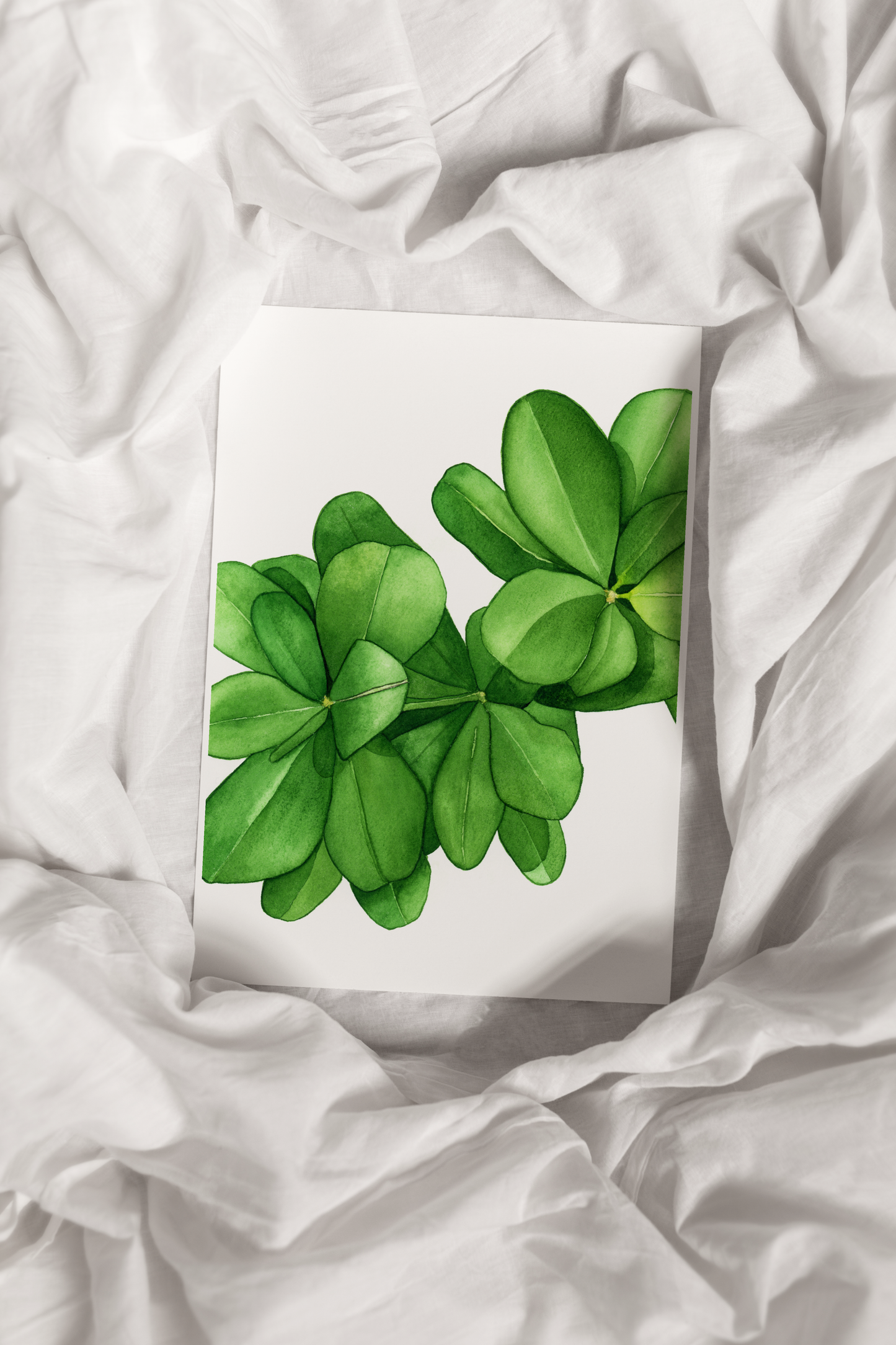 Green Leaves Print