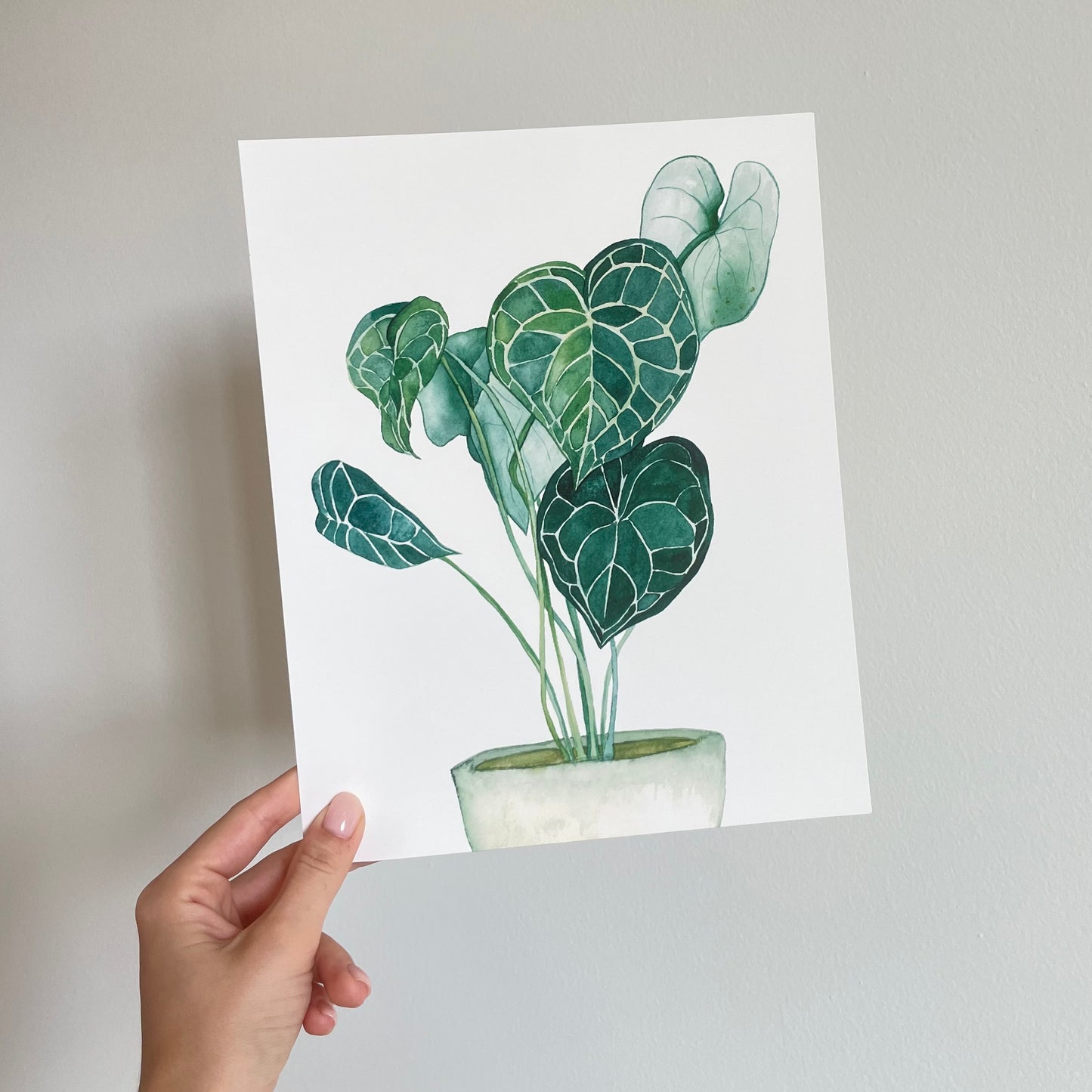 Potted Plant Print