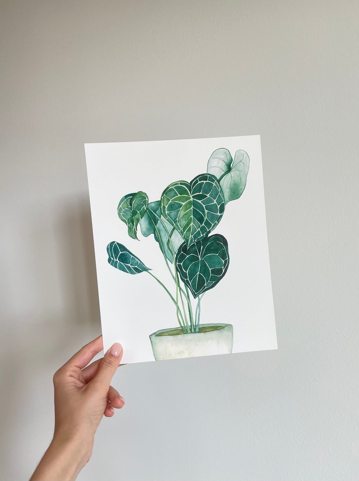 Potted Plant Print