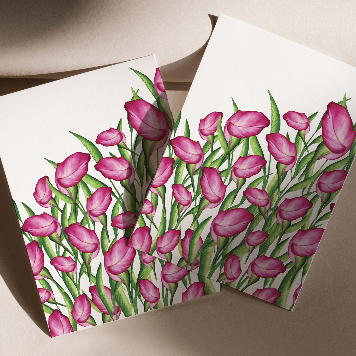Pink Calla Lilly Field Print