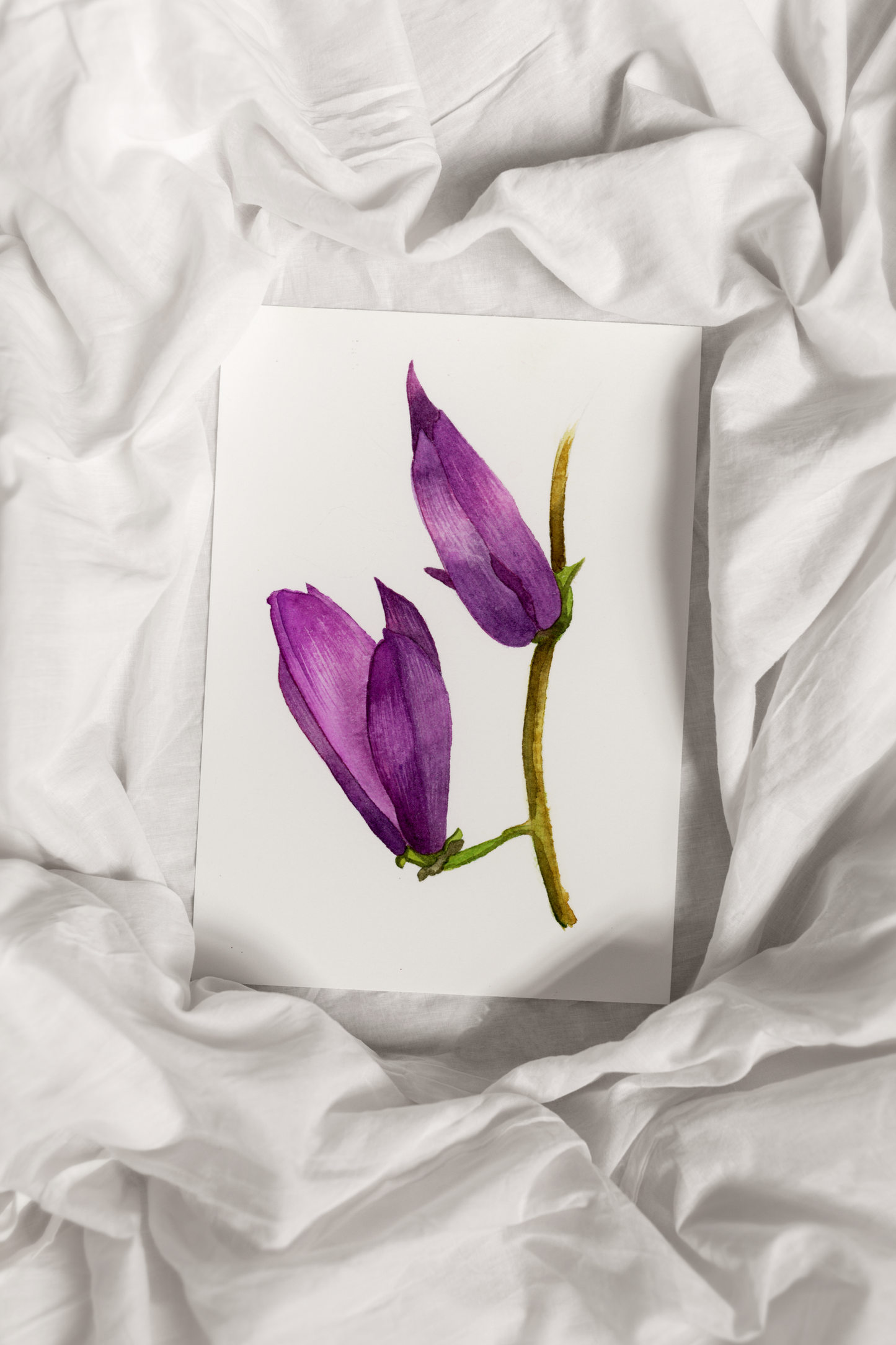 Purple Magnolias Print