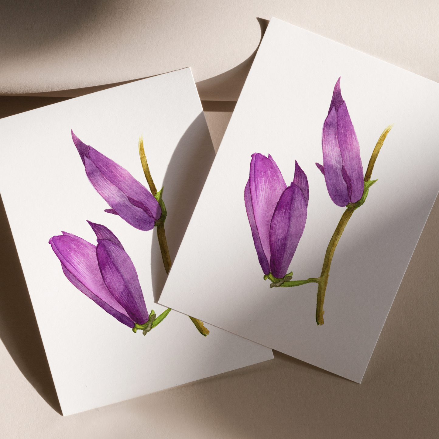 Purple Magnolias Print