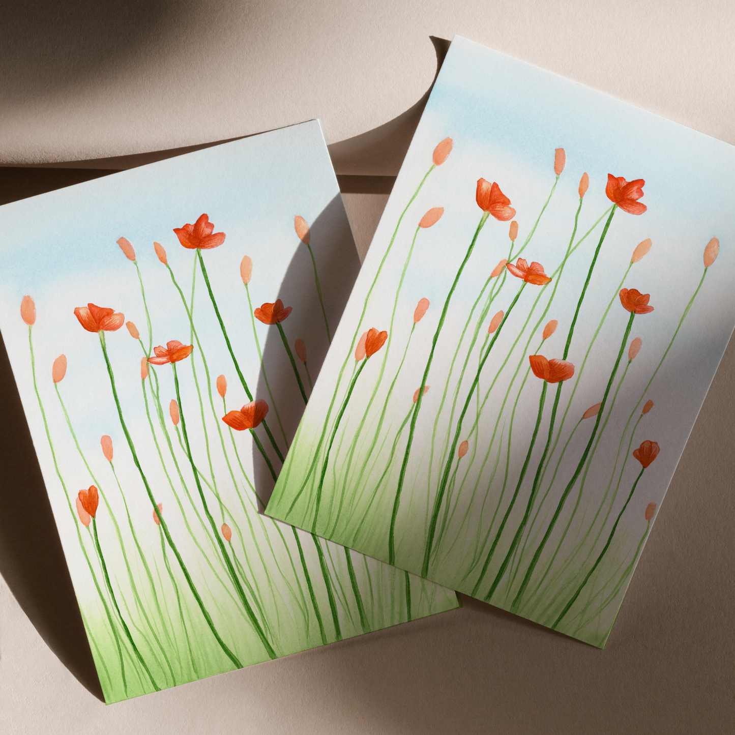 Orange Cosmos Flower Print