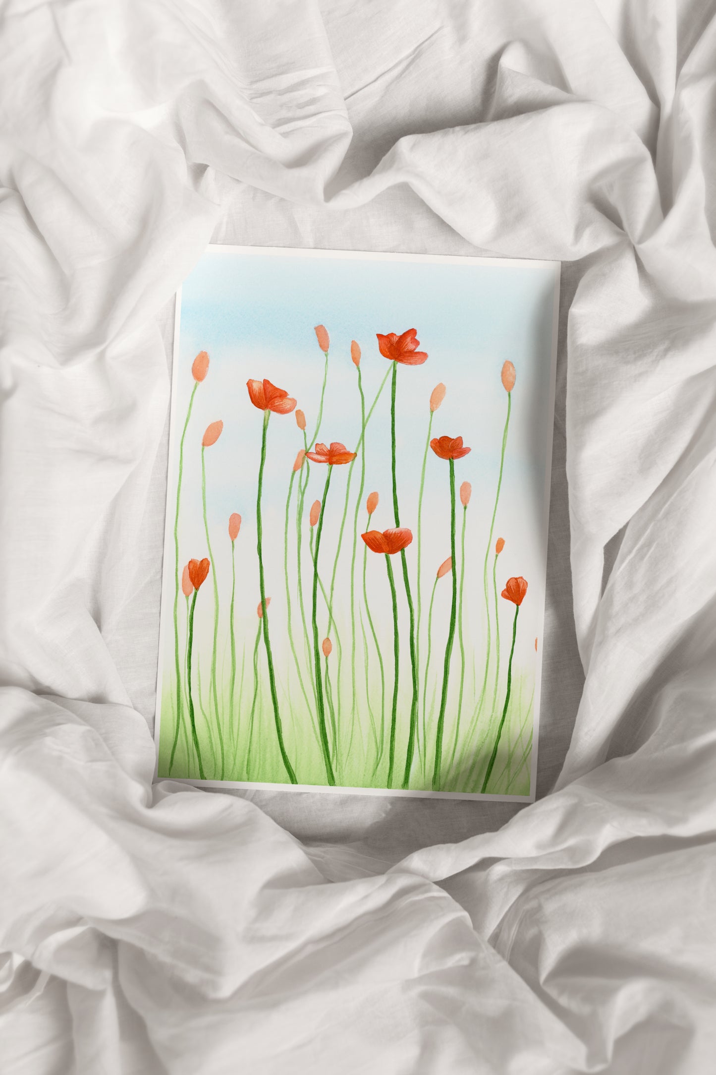 Orange Cosmos Flower Print